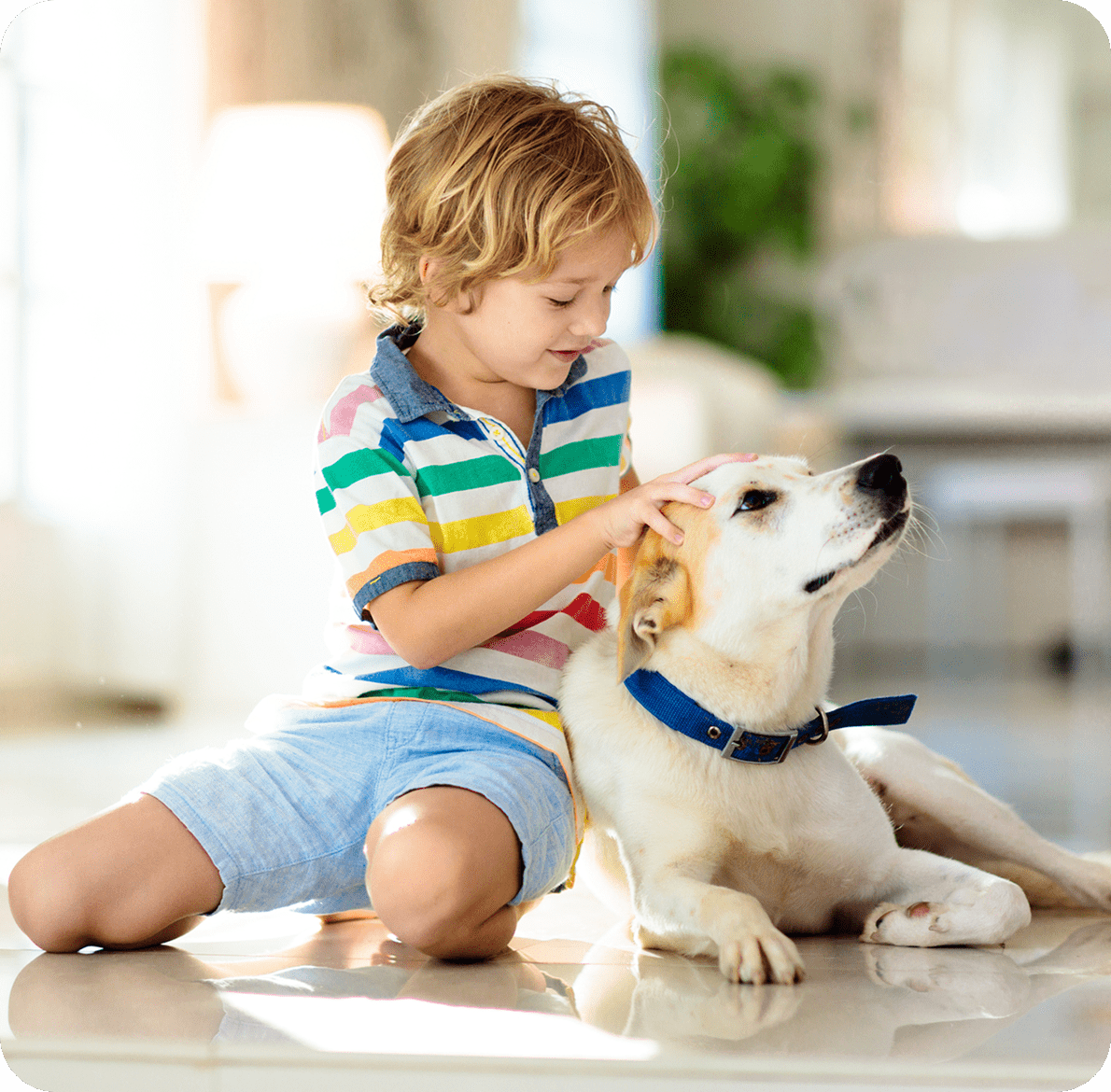 Happy child and dog together on floor